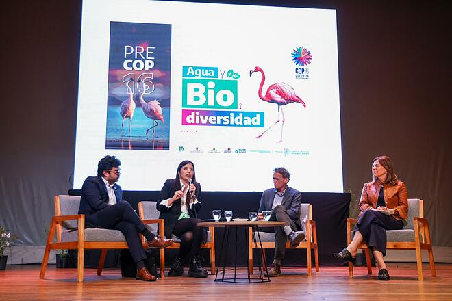 Torchio participó de la Gran cumbre ambiental Pre-COP 16 del Ministerio ...