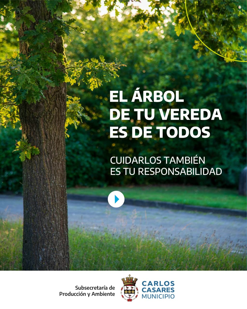 El árbol de tu vereda: Un bien común que requiere de cuidado y responsabilidad