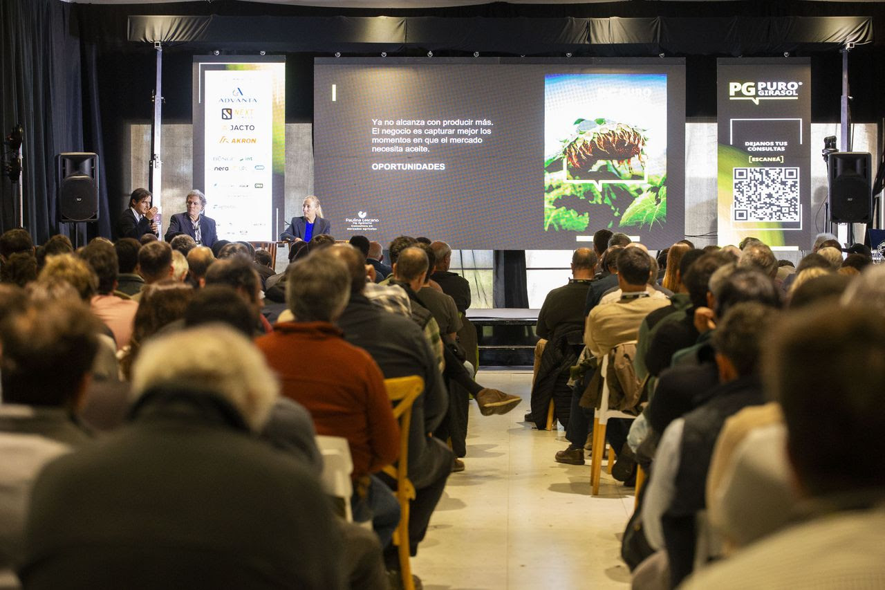 Del mercado al lote: el conocimiento que potencia la producción de girasol