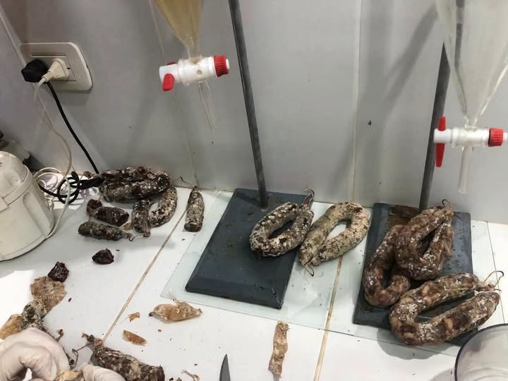 Lincoln: investigan un posible caso de triquinosis tras decomisar 77 kilos de carne de cerdo y chacinados
