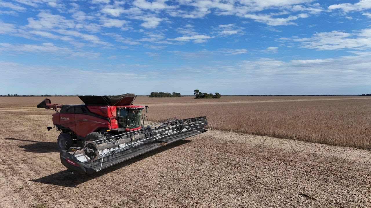 La primera cosechadora Axial-Flow Serie AF10 Automation comercializada en Argentina ya trabaja en el campo